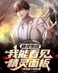 精灵系统:我能看见精灵面板