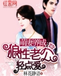萌妻养成:狼性老公轻点爱