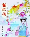甄嬛传之锦色无边