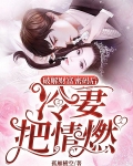 破解财富密码后,冷妻把情燃