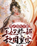 携武器库穿越,王妃炸翻敌国皇宫