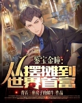 鉴宝金瞳:从摆摊到世界首富
