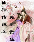 仙神传说之先生贵姓