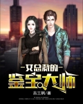女总裁的鉴宝大师
