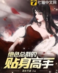 绝色总裁的贴身高手