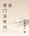 澳门没有归途