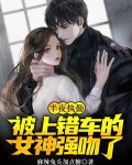 半夜执勤,被上错车的女神强吻了