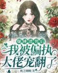 爆锤渣男后,我被偏执大佬宠翻了