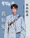 警察荣誉:我和我的冤种队友