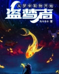 盗梦者:从梦中取物开始