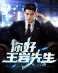 你好,王岩先生