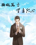 西北王之圣者仁心