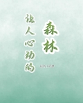 让人心动的森林