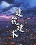 建筑建术