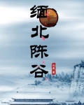 缅北陈谷