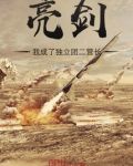 亮剑:我成了独立团二营长