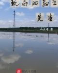 玩命的教书先生