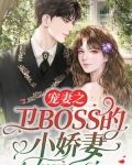宠妻之卫BOSS的小娇妻