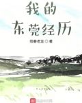 我的东莞经历