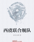 西虞联合舰队