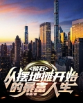 赌石:从摆地摊开始的暴富人生