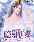 陆少的隐婚罪妻