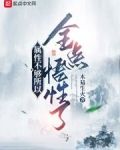 属性不够所以全点悟性了