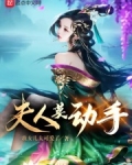 夫人莫动手