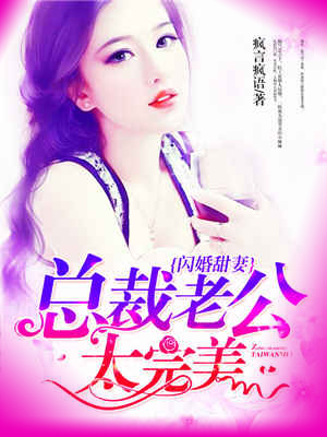 闪婚甜妻:总裁老公太完美