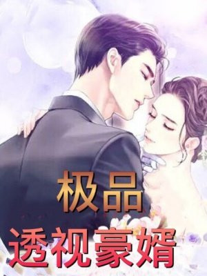 极品透视豪婿