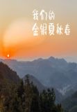 我们的金银夏秋春