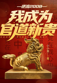 逆流2008,我成为官道新贵!