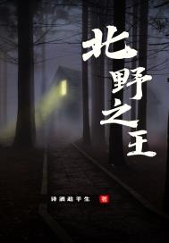 北野之王:假王爷也能得天