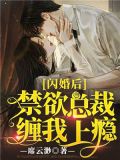 闪婚后,禁欲总裁缠我上瘾