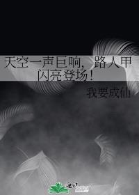 天空一声巨响,路人甲闪亮登场!