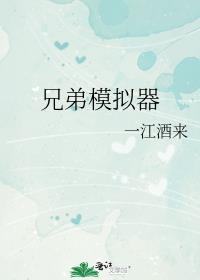 兄弟模拟器