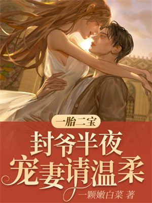 一胎二宝,封爷半夜宠妻请温柔
