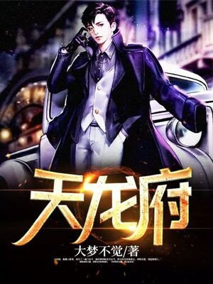 天龙府