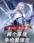 玄幻:开局被两个系统争抢着绑定