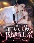 顶不住了!前夫天天把我摁墙上亲
