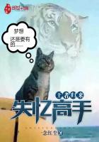 王者归来:失忆高手