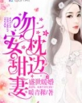 盛世暖婚:吻安,枕边甜妻!
