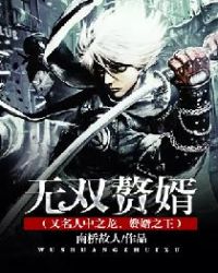 无双赘婿(又名人中之龙、赘婿之王)