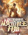 百亿职业体验,从火焰君王开始
