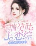 揣孕肚上恋综,找点备胎正常吧