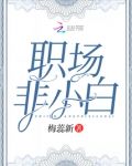 职场非小白