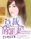 总裁的罪妻