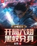 吞噬星空:开局六翅黑蚊分身