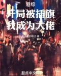港综,开局被插旗,我成为大佬