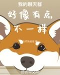 我的聊天群好像有点不一样